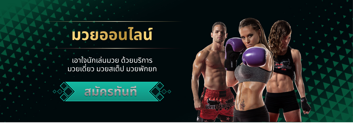 Pakyok24 เว็บมวยออนไลน์ครบวงจร